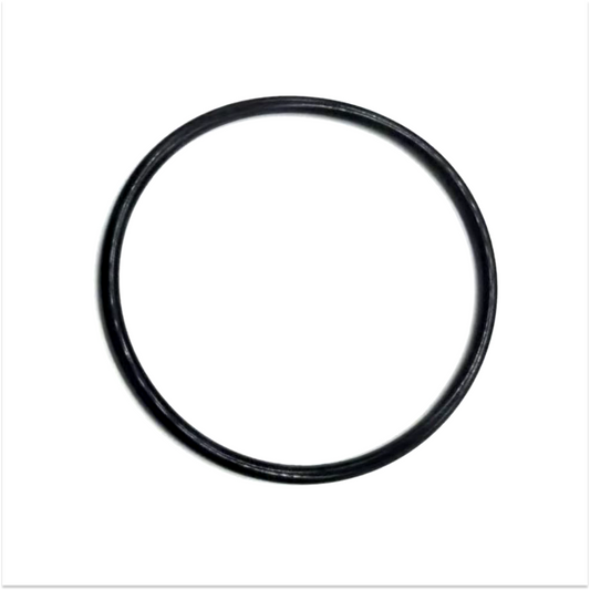 CLEAN & CLEAR FILTER BODY O-RING