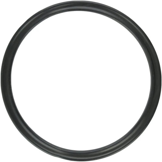 DIFFUSER GASKET: SUPERFLO+PINNACLE - 0-395-0