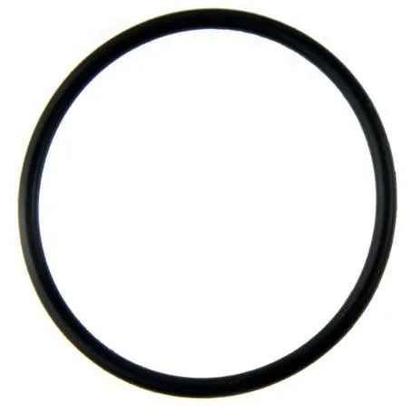 JANDY TRUCLEAR O-RING REPLACEMENT - R0694100