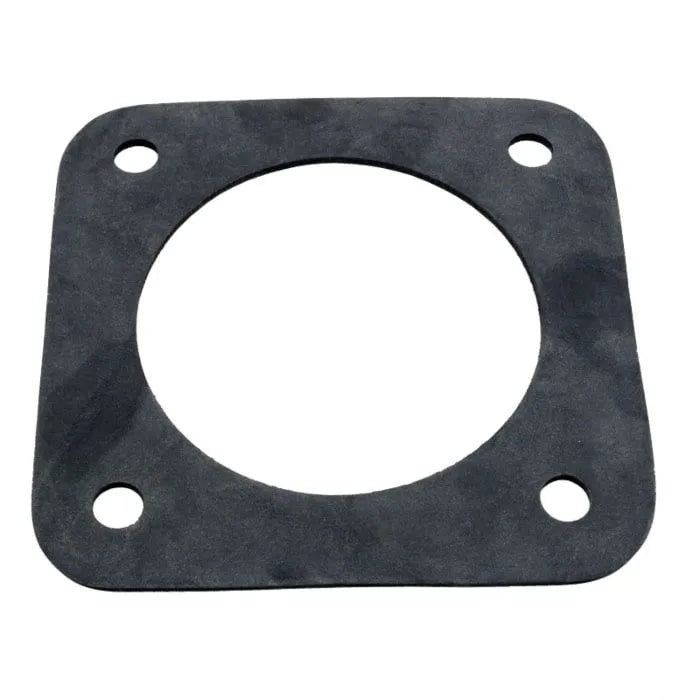 PENTAIR DURA GLASS RUBBER GASKET - C20-123