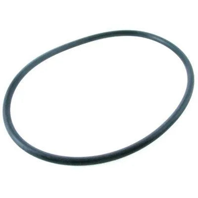 PENTAIR O-RING  4.60 ID X 3/16" - 272541