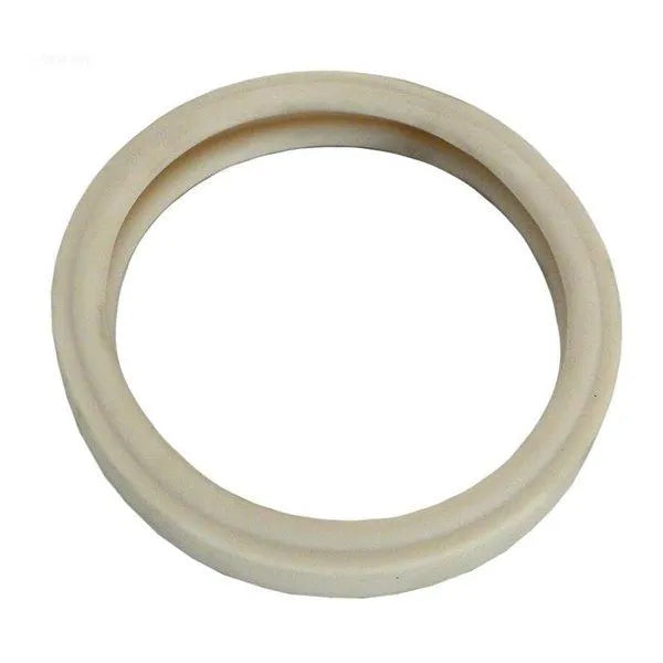 PENTAIR SPA LIGHT LENS GASKET 4' - 79108500