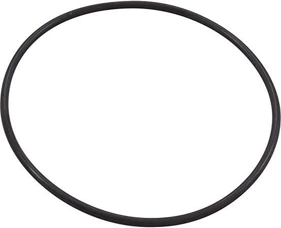 XF SERIES PUMP SEAL PLATE O-RING - 351446